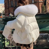 Down Cotton-padded Jacket Women's Short Fur Collar Thickened Coat Winter Clothing BadAssWear.fi